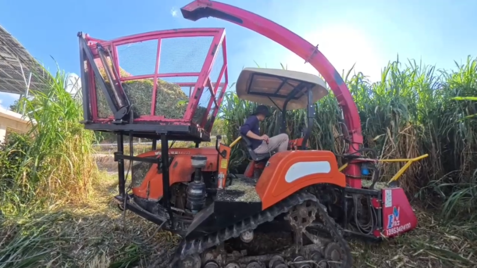 不在城市, OdLZr, 这或许就是 不在城市, OdLZr, 这或许就是