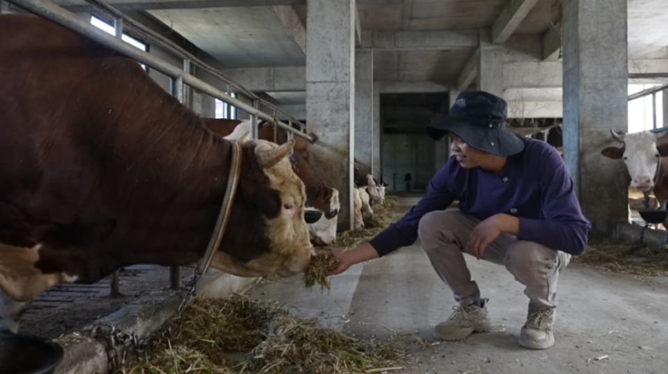 劲和纯粹的, 话时 劲和纯粹的, 话时