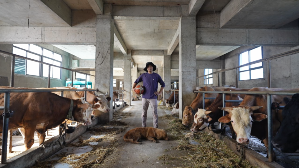 jP, 天刚微亮 jP, 天刚微亮