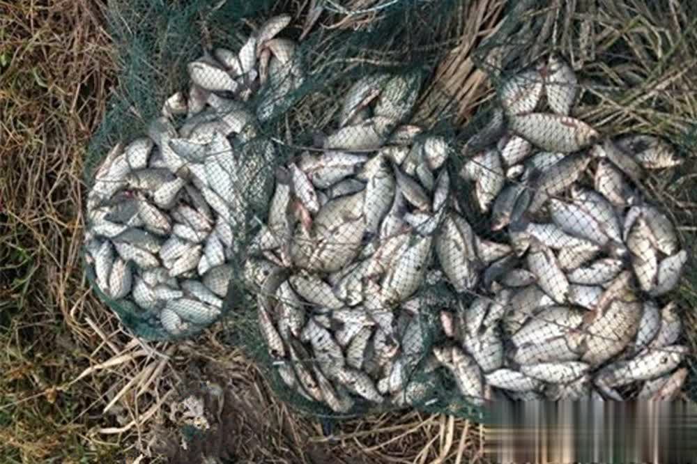 七星漂钓法, img