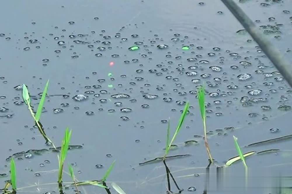 时候才会比, 野钓大鲫鱼